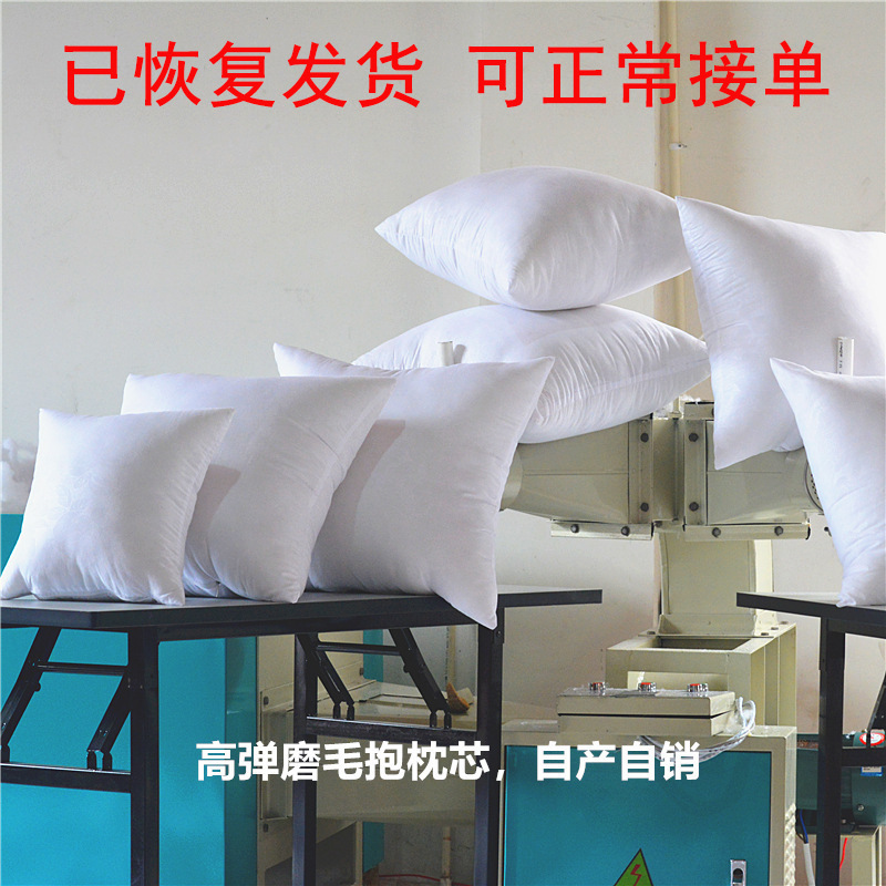 Source Manufacturer Brushed Fabric Pillow Core Pp Cotton Cushion Core Wholesale 4045505560 Lumbar Pillow Core Cross-Border Pillow Core