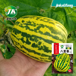 �S�����l��������ϷN�Ӗ|����ϷN�ѻ����ļ�ˮ���߲˹Ϲ��N��