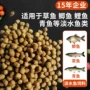 公斤淡水鱼草鱼饲料