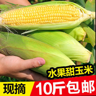 10����]�Fժˮ�������� ��ʳ���԰����r����r���������l��Ŵ