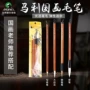 马利狼毫专业成人毛笔