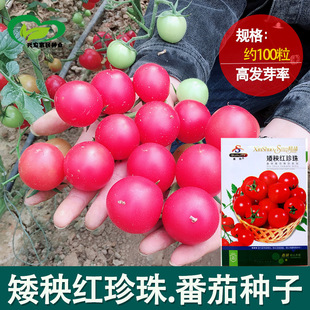 �����t���鰫�����Է��ѷN�����l �r��ˈ@�t����С���t���߲���