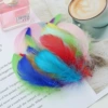 Feather primary color mixed color