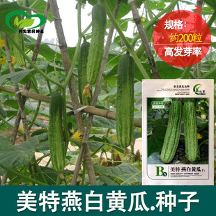 ����S�ϷN�� �r��ˈ@�s���o�Ѵ���ˮ�����S�����߲˷N��