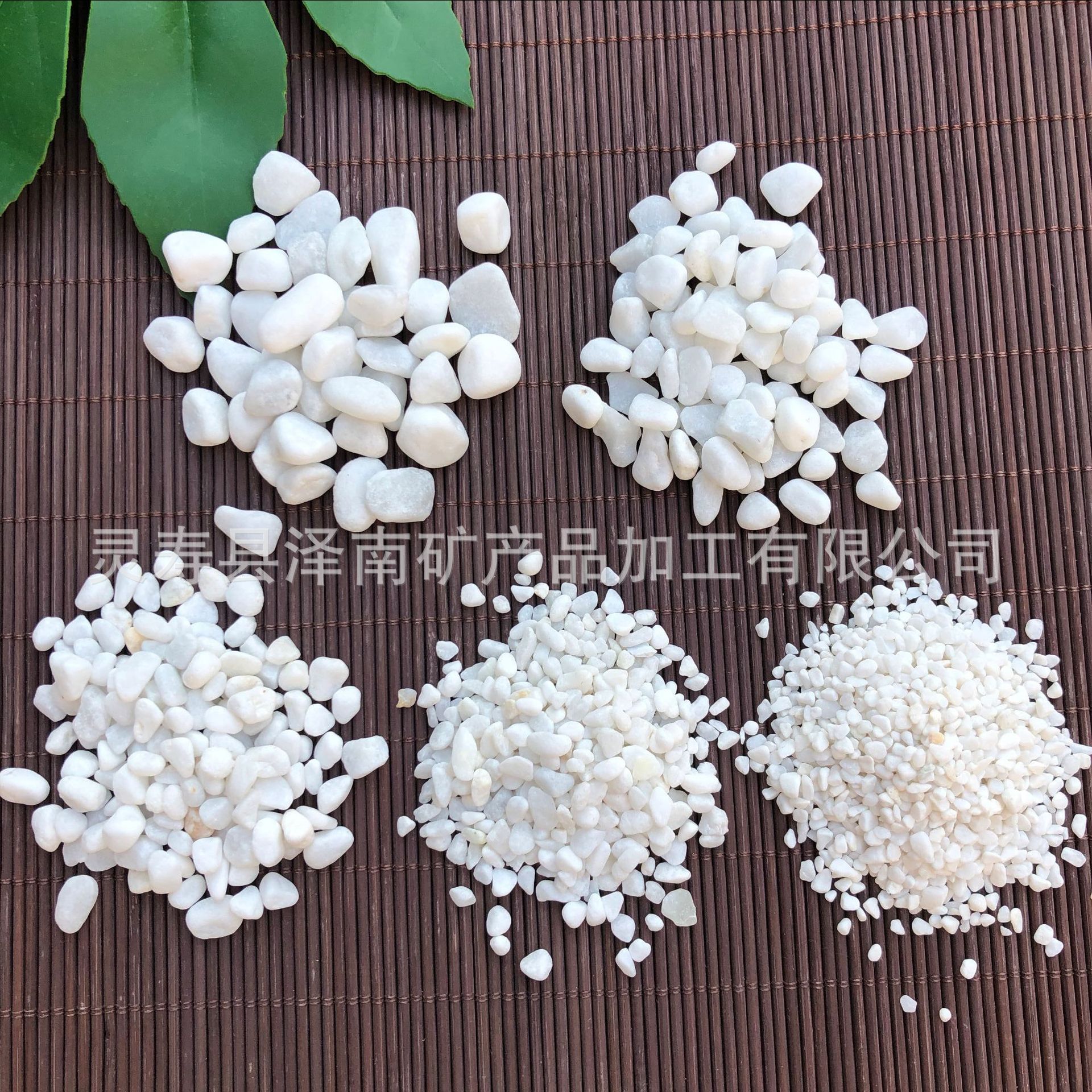 源头白石子厂家供应园艺庭院铺路用 汉白玉石子多肉铺面水磨石