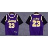 Fake two (black sleeves) Lakers Purple No. 23