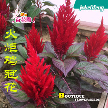 �S��ֱ������u�ڻ��Pβ���^�tɫ�ļ����ܷN�Ӱ��U�^�p�����Է�