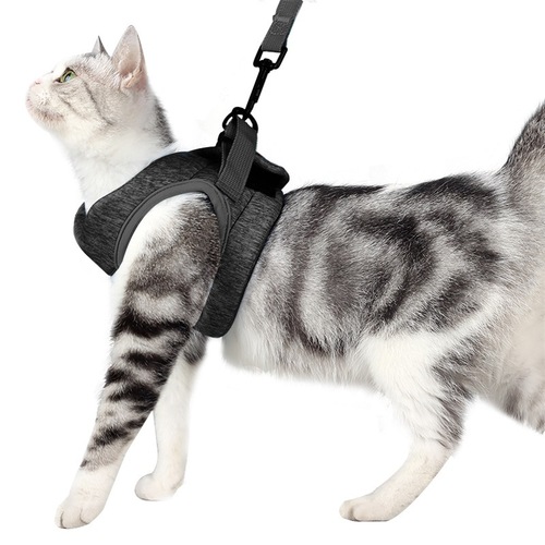 Cat supplies Amazon cat pet walking rope outing leash cat harness puppy cat artifact