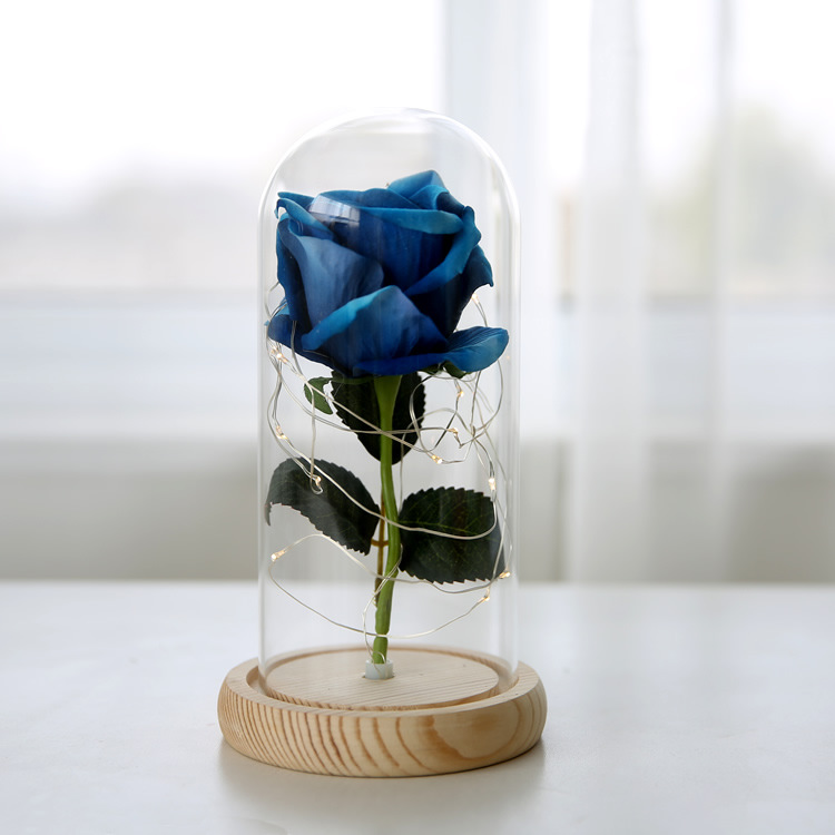 Luces LED de cadena, flor eterna con cubierta de cristal, rosa simulada con cubierta de cristal, regalo