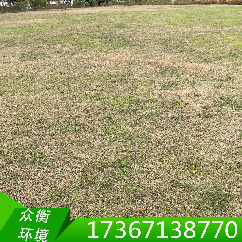 现货直销生物土壤滤池除臭设备 多功能生物土壤滤池