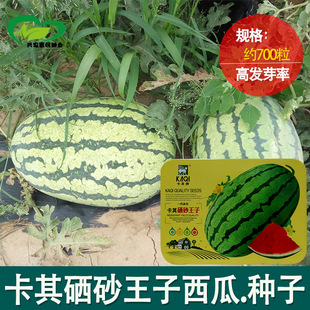 ������ɰ�������ϷN���r��ˈ@�����s�����쿹�ز����������