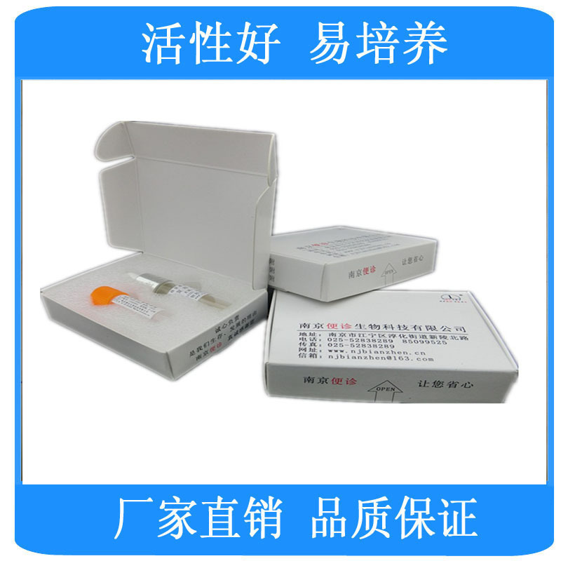 厂家直销 5ml 葡萄糖铵琼脂 斜面 微生物培养基