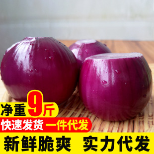 Yunnan Purple-Skinned Small Onions 4.5kg Farm Fresh Red-Skinned Onions Self-Grown Vegetables Whole Box Onions Wholesale 2.5kg