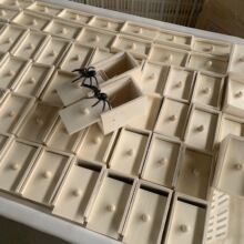 �S�ҹ���С�������M���˸����߾W�t�L���˺��Ӈ�һ��֩��ľ��