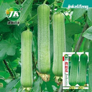 �S�����l�z�ϷN�Ӵ���z�ϲ˷N�̰������ͥԺ�����߲˹Ϲ��N����