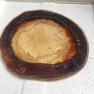 ���l����Ƥ�t̫ꖷǼ�ʳ����˼t����Ƥ�a��ֱ�lͰ�b���غ��r