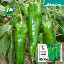 �S�����l����ţ�ǽ������N�ӳ����⽷�N�Ѵ����@�����߲˷N����