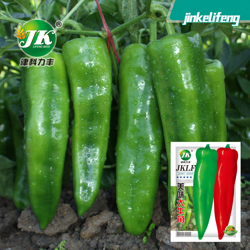 Factory Wholesale Horn Pepper Pepper Seeds, Large Fruit Pepper, Spring and Summer Vegetable Seeds, Rapeseed Seeds, Horn Pepper