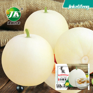 �S�����l��ɳ����ϷN�Ӱ�Ƥ����ˮ���N�і|������ѷN�Ϲ��ݲ���