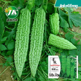 �S�����l�G����ϷN�ӾGɫ�L�G�����Ϻ�ͥԺ��@�����߲˷N����