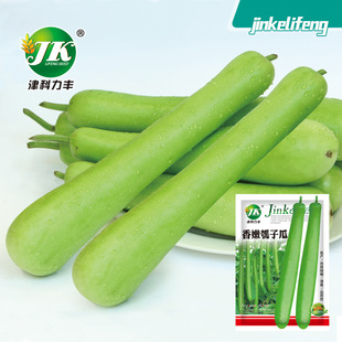 �S�����l��ӹϷN���L�ѹϷN�Ѵ����＾���ٺ����߲˷N�Ӳ��ѷN