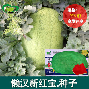 �Нh�¼t�����ϷN�� �r��ˈ@��ˬ������������E�A���ϹϹ���