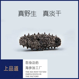 海参;其他水产加工