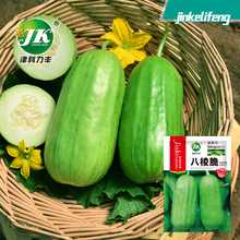 八棱脆菜瓜种子酥脆爽口不含糖四季蔬菜瓜果水果种籽酥瓜爬藤瓜籽