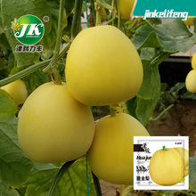 �S�����l�SƤ��ϷN������Sɫ���ļ����ˮ���N�ѱ�Ƥ�Ϲ��N�ѷN