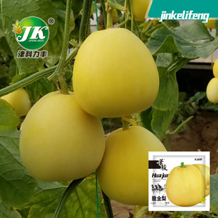 �S�����l�SƤ��ϷN������Sɫ���ļ����ˮ���N�ѱ�Ƥ�Ϲ��N�ѷN