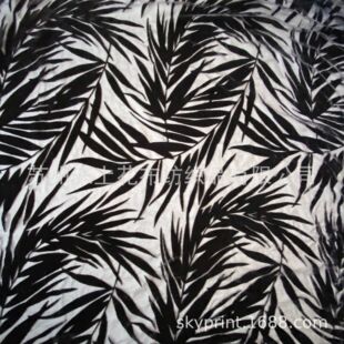 ���������q���\�q65111������һ��z�\�]�z�����z��]�z�נ�����