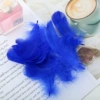 Feather royal blue