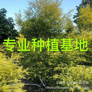 �㽭�S��������r�� �������lǧ�ӽ�� �S�������r �Sǧ�ӹ���
