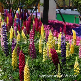 �������������N�����ݱ����ܷN�����ȶ��N�ӾG�����^ͥԺ����