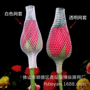�¼���õ�廨�W�����l���ٱ��o�W����pe���ϾW�ײ�ݮ�W�׏S��