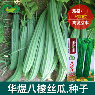 ����z�ϷN�� �r��ˈ@���ؽY�����⼚ā������z���߲���