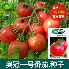 �W��һ̖���ѷN�����l���t���N�����������t���N��