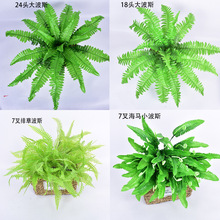 ������ֲ�ａ����˹���RС��˹ �����Ųݲ�˹ �ٻ��Gֲ����