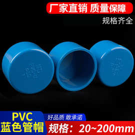 PVC给水管帽蓝色堵帽管堵闷头堵头配件闷盖20-315厂家批发管盖