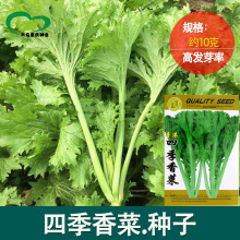 �ͳ�̦ܾݴ�Ѵ��~��˷N�� �r��ˈ@�~�ʴ���������߲������l