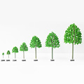 迷你场景树建筑沙盘模型树环艺微缩景观小树塑胶行道树DIY手工树