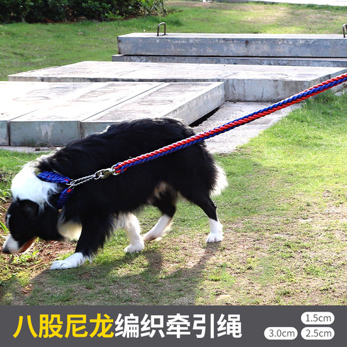 Nylon leash dog leash dog colorful braided pet leash large dog dog leash pet supplies wholesale