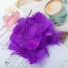 Feathers dark purple