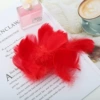 Big red feathers