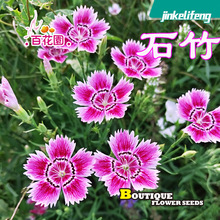 �ٻ��@ʯ��N�ӳ���ʯ�����ʯ����Ůʯ������ʯ��������ݱ�