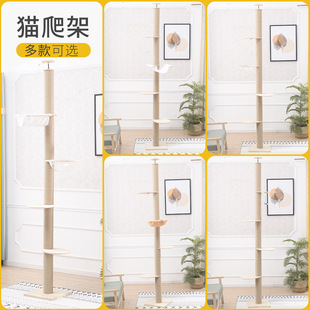 ؈���ܼӴ�ͨ����һ�w����ľ�|�������؈�C؈��؈ץ��؈��Ʒ؈̨