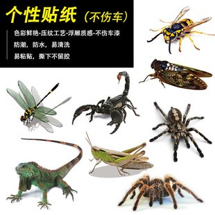 PVC transparent frosted reptile car electric car sticker fire rose Spider gorgeous rain forest scorpion