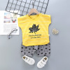 Children's sleeves, set, summer cotton T-shirt for boys, shorts, children's clothing, Korean style, wholesale