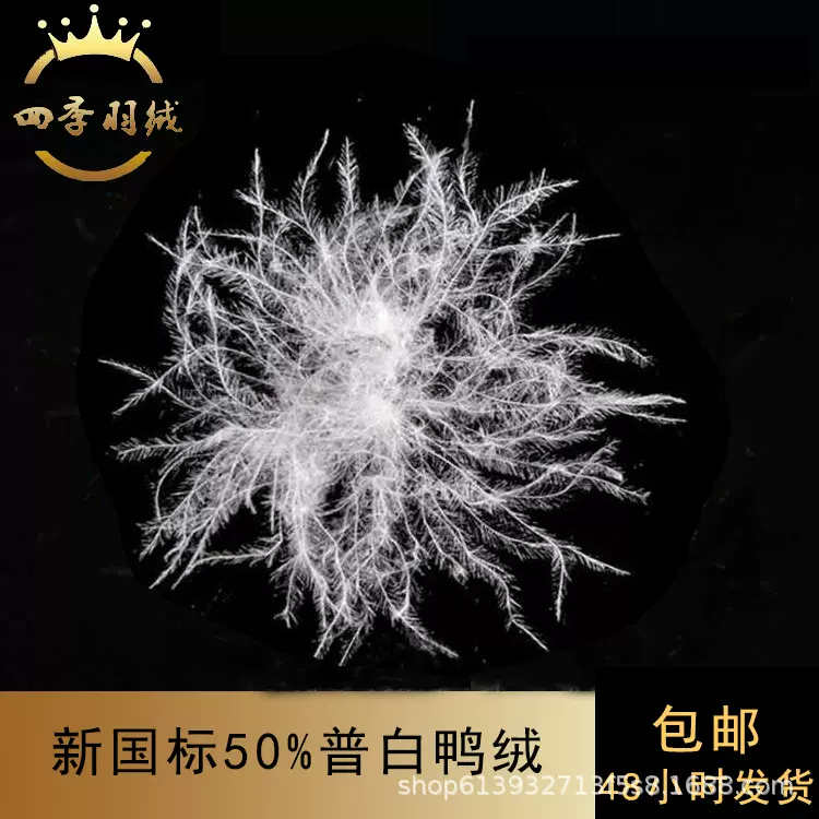 直销羽绒50白鸭绒纯白新国标水洗高蓬松灰鸭绒填充物散装羽绒批发