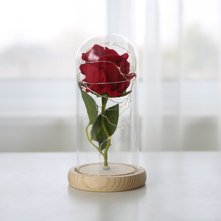 Luces LED de cadena, flor eterna con cubierta de cristal, rosa simulada con cubierta de cristal, regalo